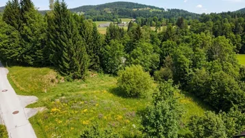 Luftaufnahme eines grünen Grundstücks mit Bäumen und Wiesen in ländlicher Umgebung.
