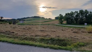 Ländliche Landschaft mit Feldern, Bäumen und einem Haus in der Ferne unter bewölktem Himmel.