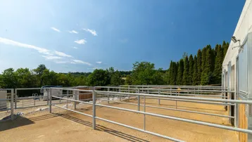 Außenbereich eines Pferdestalls mit Metallzäunen und Blick auf grüne Bäume unter blauem Himmel.