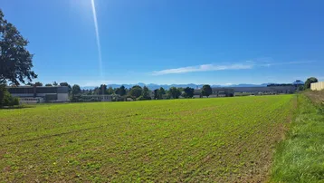 Weitläufiges grünes Feld unter strahlend blauem Himmel mit Bergen in der Ferne und einigen Gebäuden am Horizont.