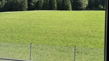 Weitläufiger Blick ins Grüne über eine Wiese und angrenzenden Wald von der Wohnung aus.