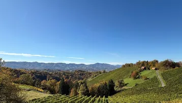 Weitläufige Weinberge und hügelige Landschaft unter blauem Himmel, ideal für Naturliebhaber.