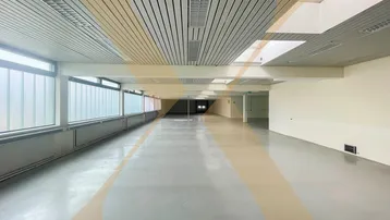 Großer, offener Büroraum mit hellgrauem Boden, vielen Fenstern und abgehängter Decke.