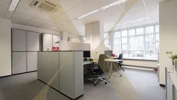 Großes, helles Büro mit mehreren Arbeitsplätzen, Teppichboden und großen Fenstern, die viel Tageslicht hereinlassen.