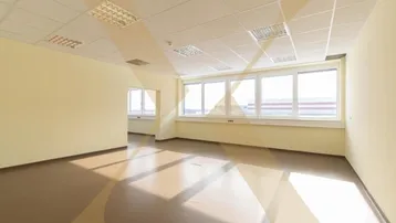 Geräumiges, leeres Büro mit großen Fenstern, die viel Tageslicht hereinlassen und einem hellbraunen Boden.