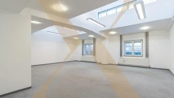 Geräumiger, leerer Büroraum mit Teppichboden, großen Fenstern und indirekter Deckenbeleuchtung.