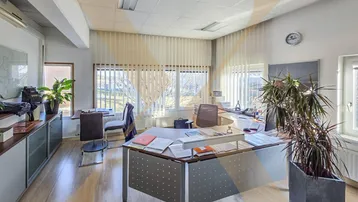 Helles Büro mit großem Schreibtisch, Holzfußboden und Blick ins Grüne durch die Fenster.