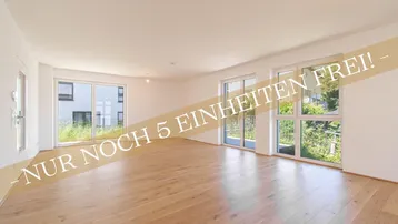 Heller, leerer Wohnraum mit Holzboden und großen Fenstern, die viel Tageslicht hereinlassen.