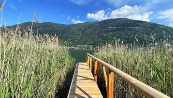 Holzsteg führt durch Schilf zum See mit malerischer Bergkulisse unter blauem Himmel.