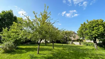 Gepflegter Garten mit Rasenfläche und jungen Obstbäumen unter blauem Himmel.