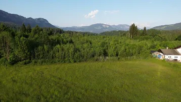Weitläufige grüne Wiesen und Wälder mit Bergen im Hintergrund unter einem klaren Sommerhimmel.