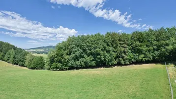 Weitläufige grüne Landschaft mit Feldern, Wäldern und einem weiten Himmel.