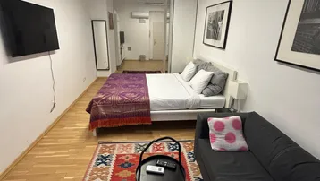 Gemütliches Schlafzimmer mit Holzboden, Sofa und farbenfrohem Teppich in einem Studio-Apartment.
