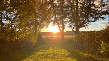 Malerischer Sonnenuntergang über dem See, gesehen von einem grünen Gartenbereich mit Bäumen.