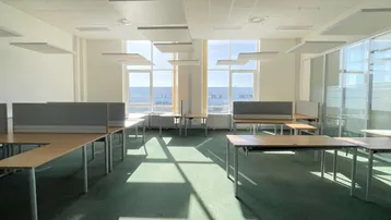 Heller Büroraum mit mehreren Arbeitsplätzen, großen Fenstern und grüner Teppichboden. Akustikpaneele an der Decke sorgen für eine angenehme Arbeitsatmosphäre.