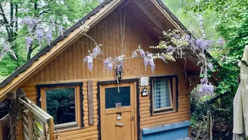 Charmantes Holzhaus mit Giebeldach und blühendem Blauregen, umgeben von viel Grün.