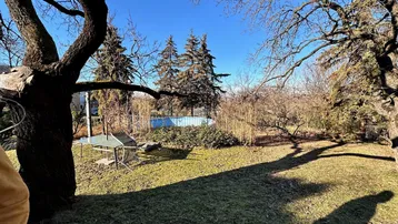 Geräumiger Gartenbereich mit altem Baumbestand, Rasenfläche und einem kleinen Tisch im Freien.
