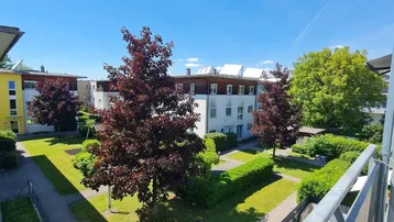 Gepflegter Gemeinschaftsgarten mit Rasenflächen und Bäumen zwischen den Wohngebäuden, ideal zum Entspannen.