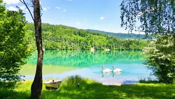 Idyllischer See mit Schwänen, umgeben von grünen Wäldern und Bergen unter blauem Himmel.