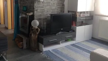 Wohnzimmer mit modernem Kamin, TV-Möbeln und einem gestreiften Teppich, gut beleuchtet durch große Fenster.