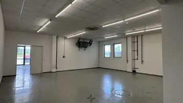 Großer leerer Gewerberaum mit Betonboden, Rasterdecke, Leuchtstoffröhren und Fenstern für Tageslicht.