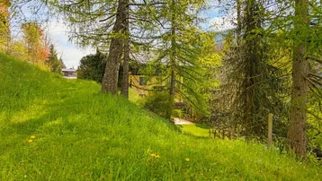 Grüner Hang mit Bäumen und einem Haus im Hintergrund unter blauem Himmel und Sonnenschein.