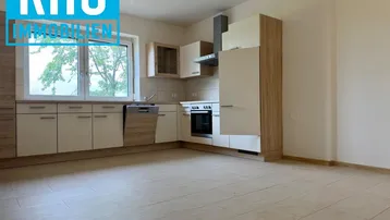 Moderne Einbauküche mit hellen Fronten, integrierten Geräten und großem Fenster.