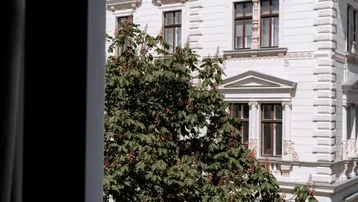 Blick von einem Balkon auf eine historische Fassade mit reich verzierten Fenstern und einem grünen Baum.