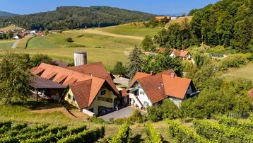 Luftaufnahme eines Anwesens mit mehreren Gebäuden, umgeben von Weinbergen und grünen Hügeln.