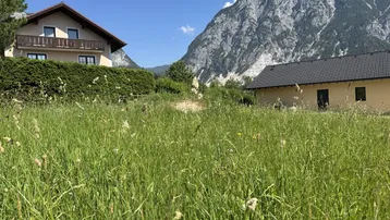 Weite Wiese mit hohem Gras und Häusern, im Hintergrund erhebt sich eine majestätische Bergkette.