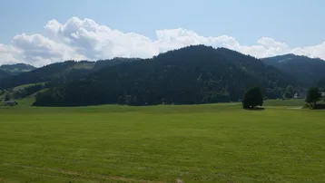 Weitläufige grüne Wiesen und bewaldete Hügel unter blauem Himmel.