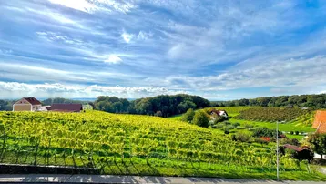 Panoramablick über weite Weinberge und entfernte Häuser unter einem beeindruckenden Himmel.
