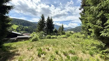 Weitläufige Grünfläche mit Blick auf bewaldete Hügel und Berge unter blauem Himmel.