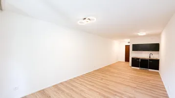 Heller Wohnraum mit Laminatboden und integrierter Küchenzeile, ideal für ein Studio-Apartment.