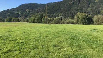 Weitläufige grüne Wiese mit bewaldeten Bergen im Hintergrund und klarem Himmel.