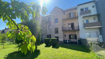 Sonniger Gartenbereich mit Rasenfläche und Blick auf die Rückseite des Mehrfamilienhauses.