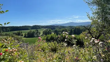 Malerischer Ausblick über die weite grüne Landschaft mit sanften Hügeln und Bergen im Hintergrund.
