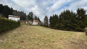 Weitläufiges Grundstück mit Grasfläche, umgeben von Bäumen und einigen Häusern im Hintergrund unter bewölktem Himmel.