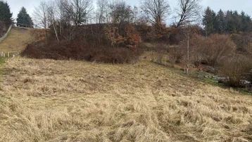 Weitläufiges Grundstück mit natürlicher Vegetation und Bäumen an einem Hang unter bewölktem Himmel.