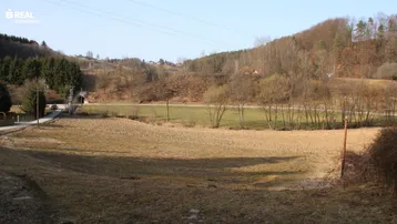Weitläufige Landschaft mit Feldern und bewaldeten Hügeln unter blauem Himmel, die eine ländliche Umgebung zeigt.