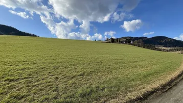 Weitläufiges grünes Feld mit Blick auf Berge und Häuser in der Ferne unter blauem Himmel.