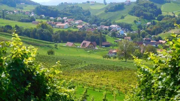 Panoramablick über sanfte Hügel mit Weinbergen und einem malerischen Dorf in der Ferne.