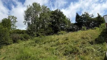 Grüne Wiese mit Bäumen unter blauem Himmel, ideal für ein Bauvorhaben.