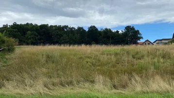 Weitläufiges Grundstück mit hohem Gras und Baumbestand unter bewölktem Himmel.