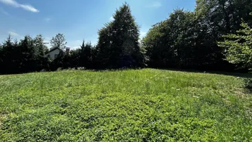 Weitläufige Grünfläche mit Rasen und Bäumen unter blauem Himmel, ideal für einen Garten.
