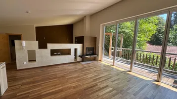 Geräumiges Wohnzimmer mit Holzboden, modernem Kamin und großen Glasfronten zum Außenbereich.