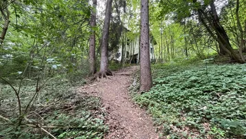Ein Pfad führt durch dichten Wald zu einem verfallenen Gebäude mit Graffiti im Hintergrund.