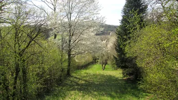 Abfallender Gartenbereich mit Bäumen und Sträuchern, der einen weiten Blick auf die Landschaft bietet.