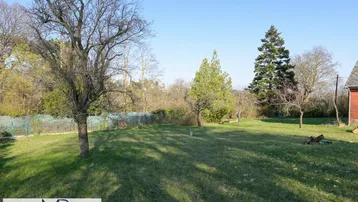 Großer Gartenbereich mit Rasenfläche und verschiedenen Bäumen unter klarem Himmel.