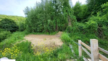 Grünes Grundstück mit Bäumen und natürlicher Vegetation in einer hügeligen Landschaft unter blauem Himmel.